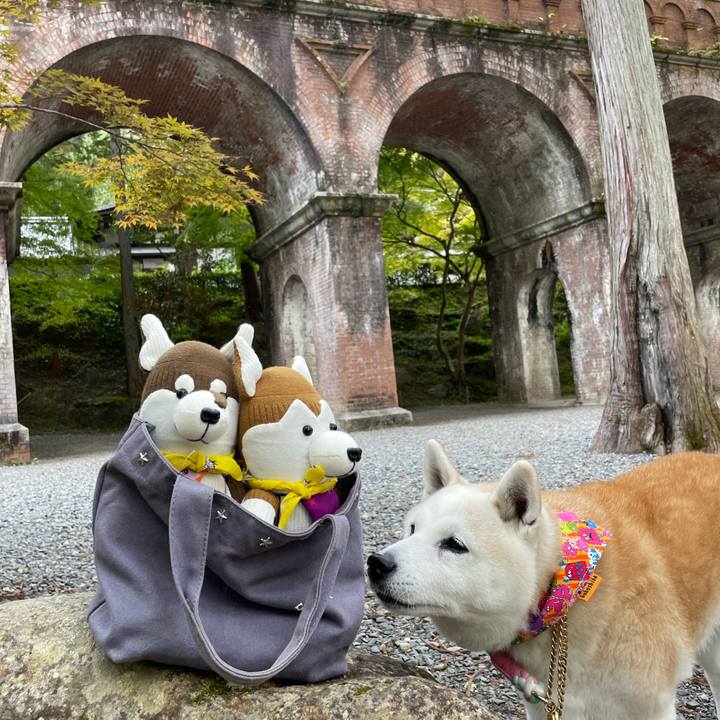 1f8736c9 fbb1 40ad a6ed 4d8b19671035 1667129173161