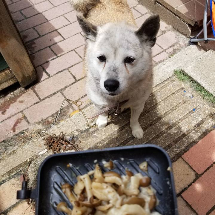 1f8777d7 8199 4440 8d63 18bb25f81a1a 1652493865260