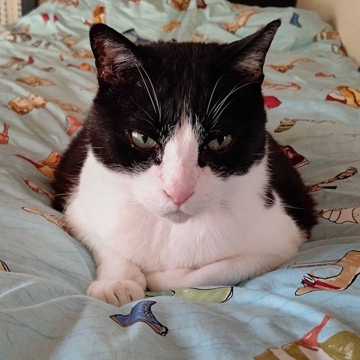 1f877895 2ee4 4028 8ce3 b1b75cfaa806 1649565004444