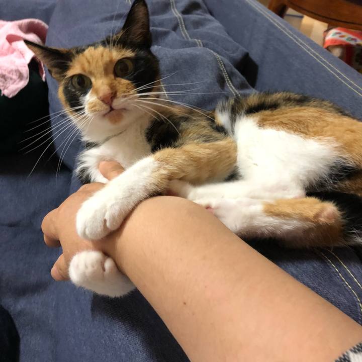 1f87b969 f765 424f 82bb 03aa4c834081 1535982208844