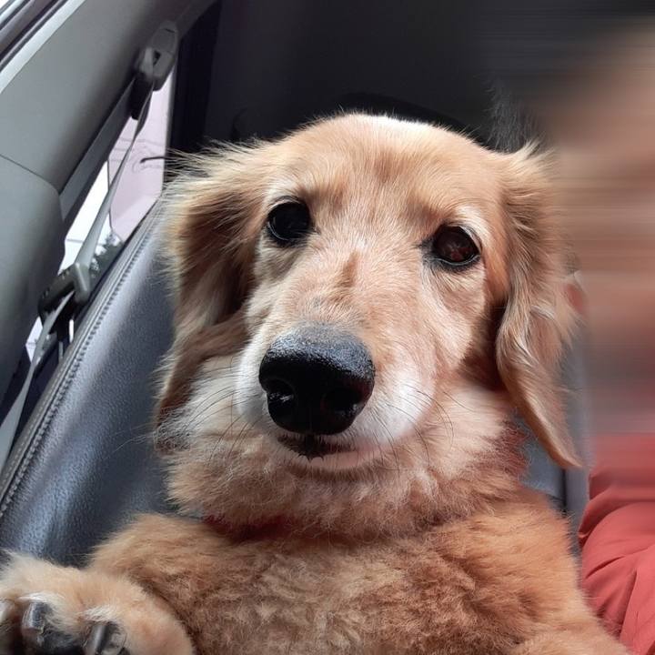 1f87c3db 8ea6 4c37 970f a60b83e56ff1 1651231673477