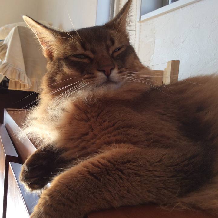 1f880c84 f59b 48c7 a74a 87d477b12986 1606958282186