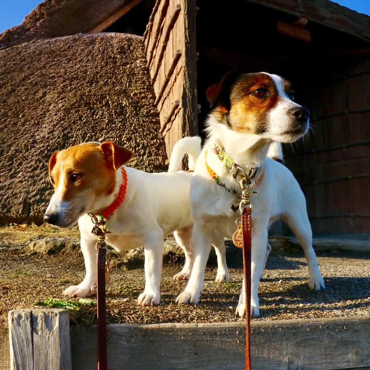 1f882c19 c4f6 4c7c be0c 4b670073a045 1550649888333