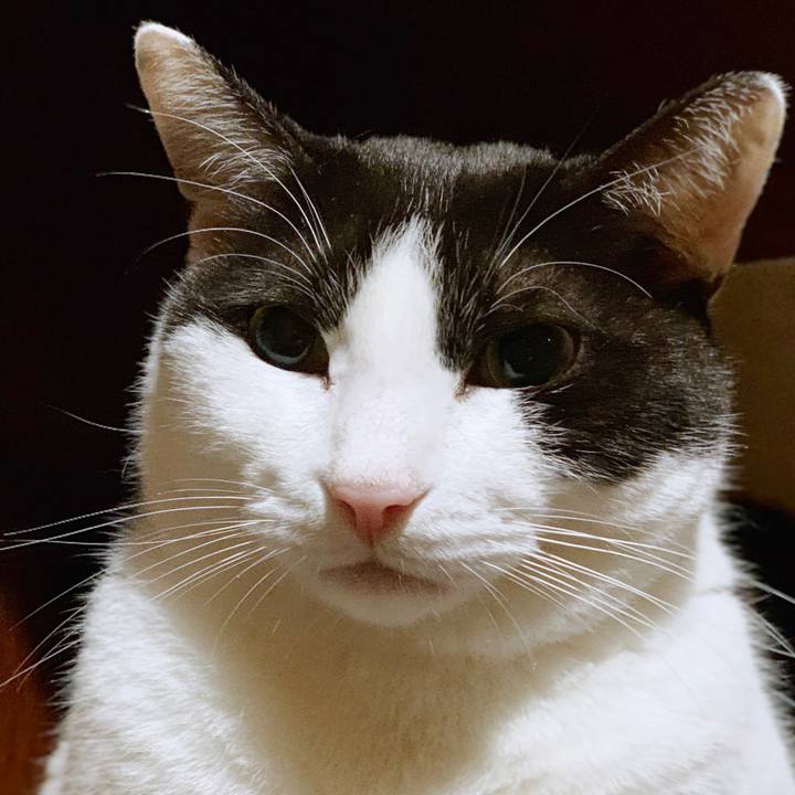 1f8832b0 9ad9 4c8a bc7c 8c6b5532c2dc 1553909979058