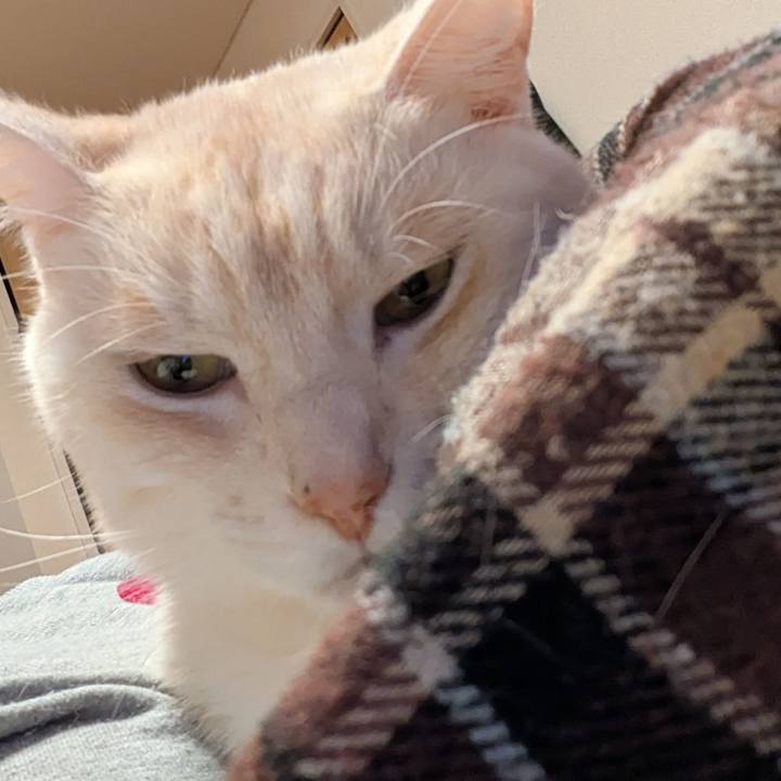 1f88397f 14e1 4d95 ae9c dc9aa4b9c5ab 1768983643750