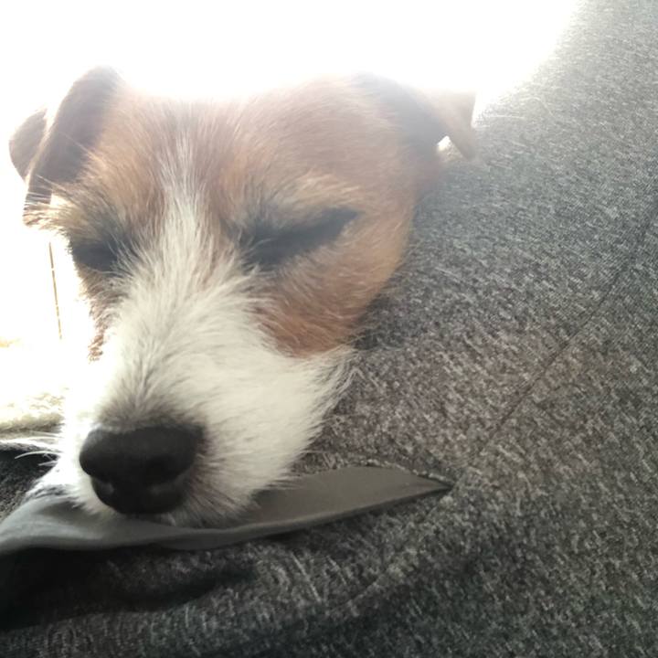 1f8839e5 8095 4663 b7f4 d70719575d47 1588030139184