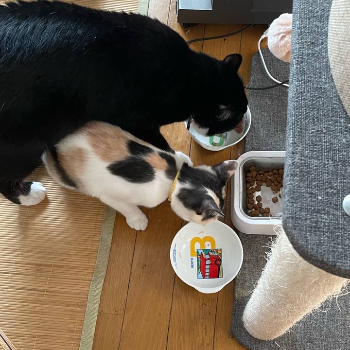 1f886b99 1790 4fa4 b984 20a2d6432707 1664161488695