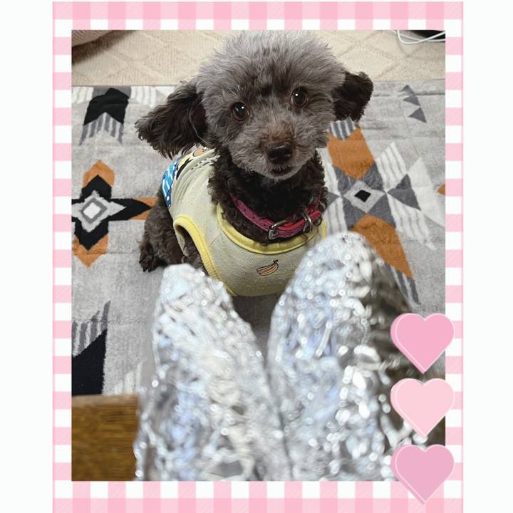 1f88ad55 1dbe 491d 8945 cc05cdec9b2e 1665555213217