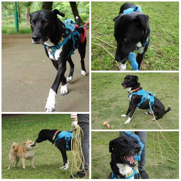 1f88e948 9868 4fa0 b36c b06517b463bb 1620347915718