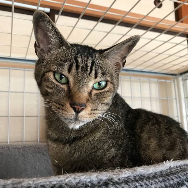 1f88f30f 5148 454d 9cbc ba14938ceefc 1527039821428