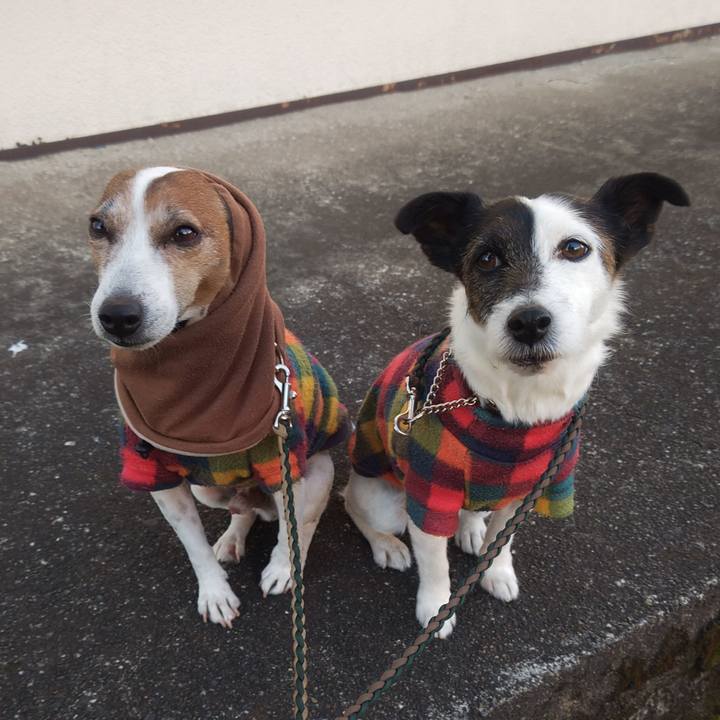 1f88f533 761c 4ad0 a0fc cef040256b81 1770589376861