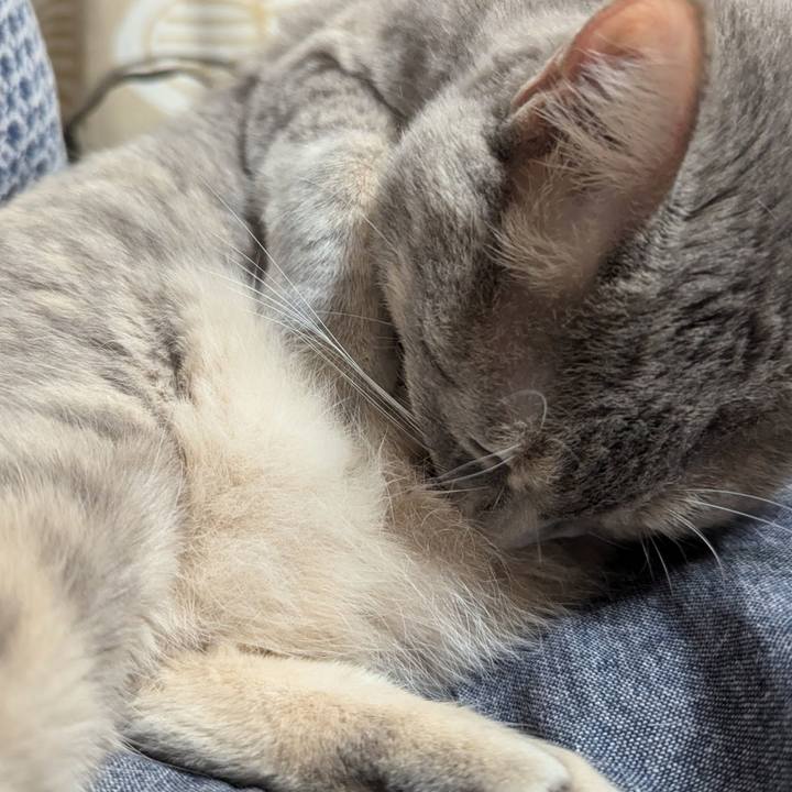 1f893b68 e493 4eaa bb29 9ed597bc1dd6 1727957708743