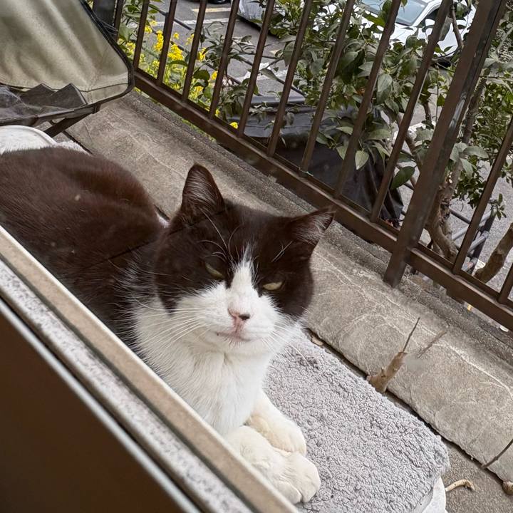 1f893ee4 684c 49dc a264 4de0a675a11d 1774398590005