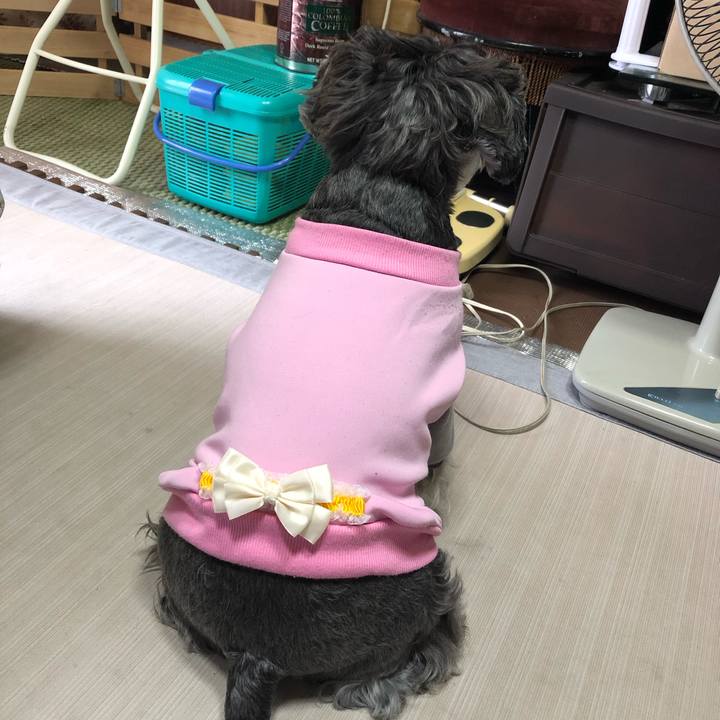 1f89442a 85fb 4e5e 8445 828eb4fc4207 1634953518363