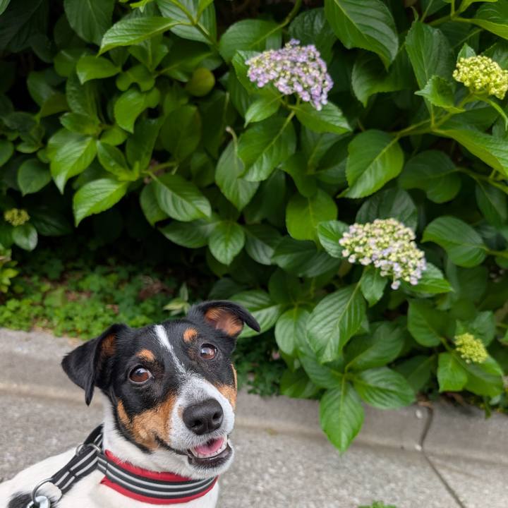 1f8964f6 2709 4983 949b 2a74a24ef147 1748768082824