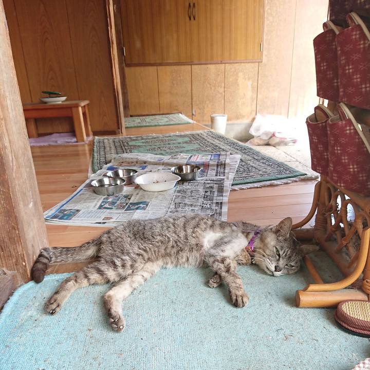 1f897a32 e0b9 498a b487 5de25ffe1ab2 1598336570167