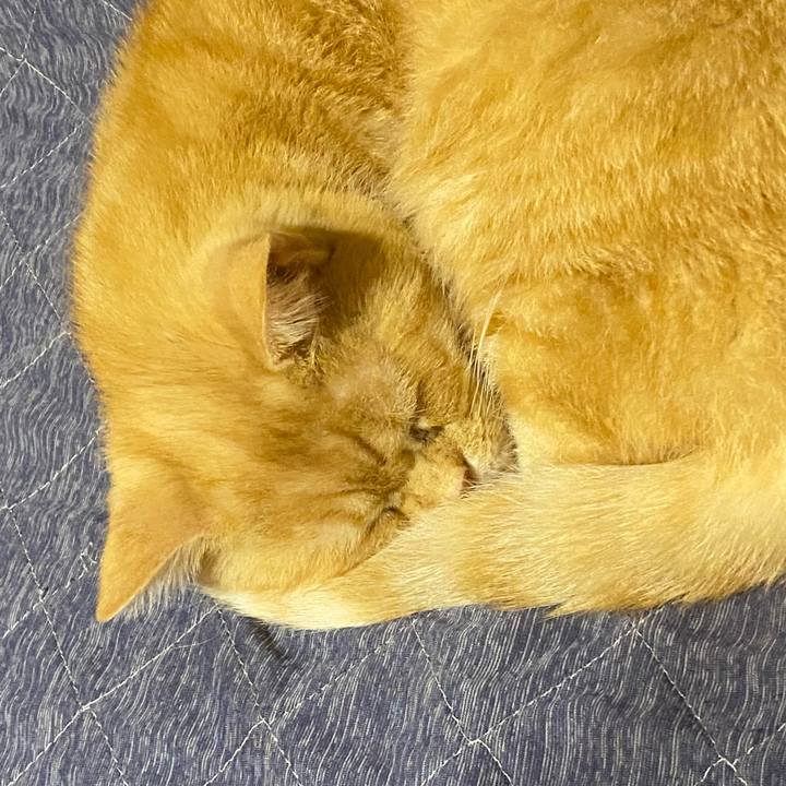 1f89a12f 86f5 430e 9549 9ba57959cb93 1639082193447