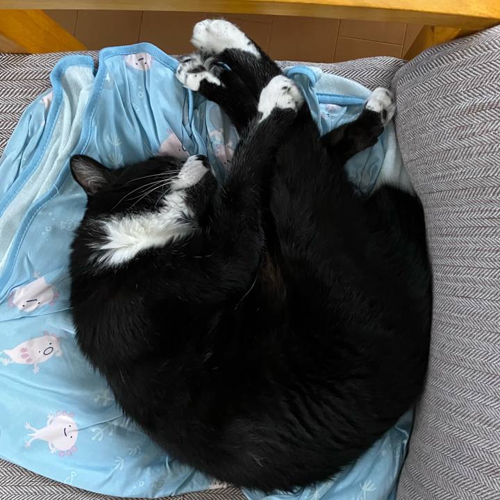 1f89af92 840e 44d1 be1a 60b3dc33b0cb 1766374187430