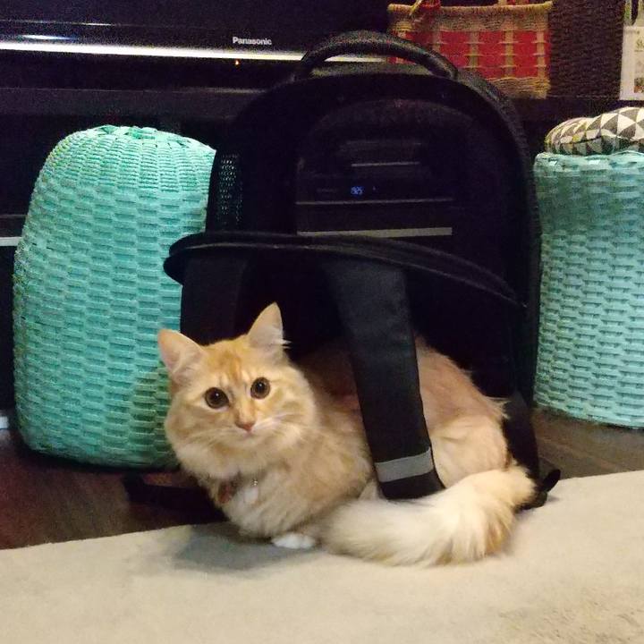 1f89bcc8 1bf1 419c bb9a 045f6f015ee3 1639051534533