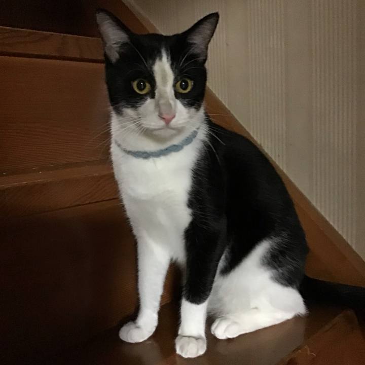 1f89c5d3 818b 4070 8409 a67489a7b799 1662551251200