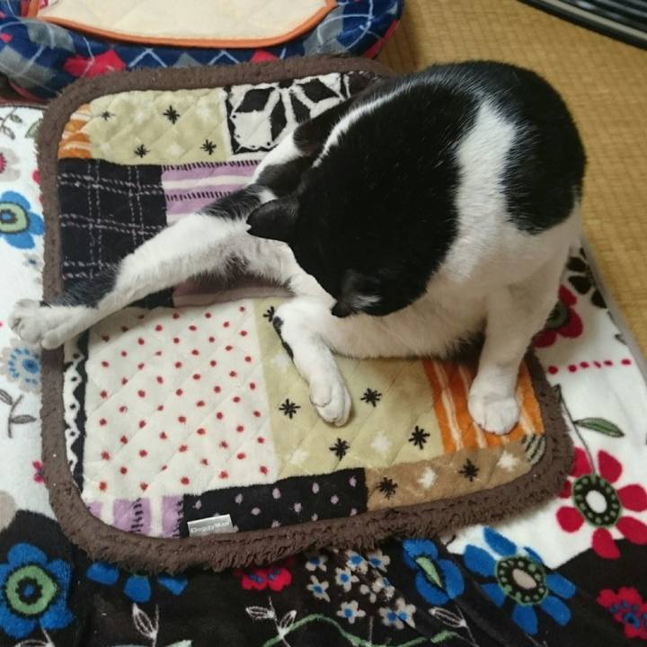 1f89faa9 5c50 45cd 9683 719bcc680312 1512796579219