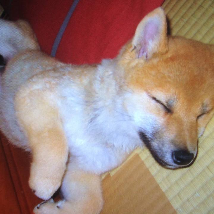 1f8a3764 1ce6 47cc aff5 820c4c7c8f25 1763972633004