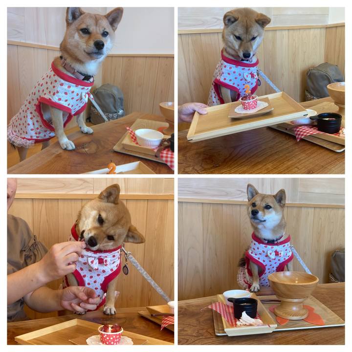 1f8a457a b47b 45a1 a3db 6001837671fb 1756782716109