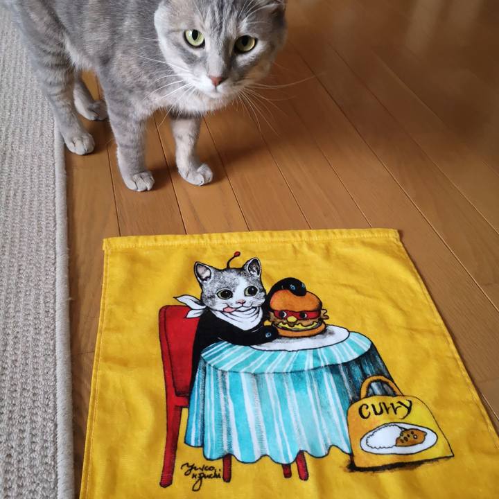 1f8a5a4d 1d9f 443b a46d c44d1968d5d5 1567843955839