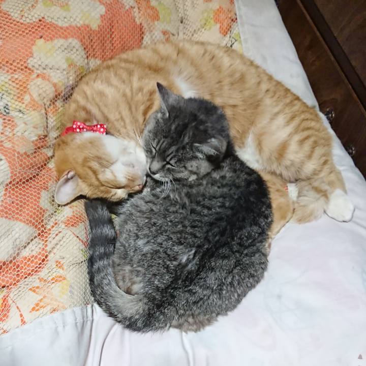 1f8a8661 54bf 4e77 ba07 a3b69f78c79d 1577189927080