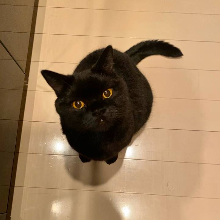 1f8a9561 8490 4cfd afa7 75c27557755e 1661347651066