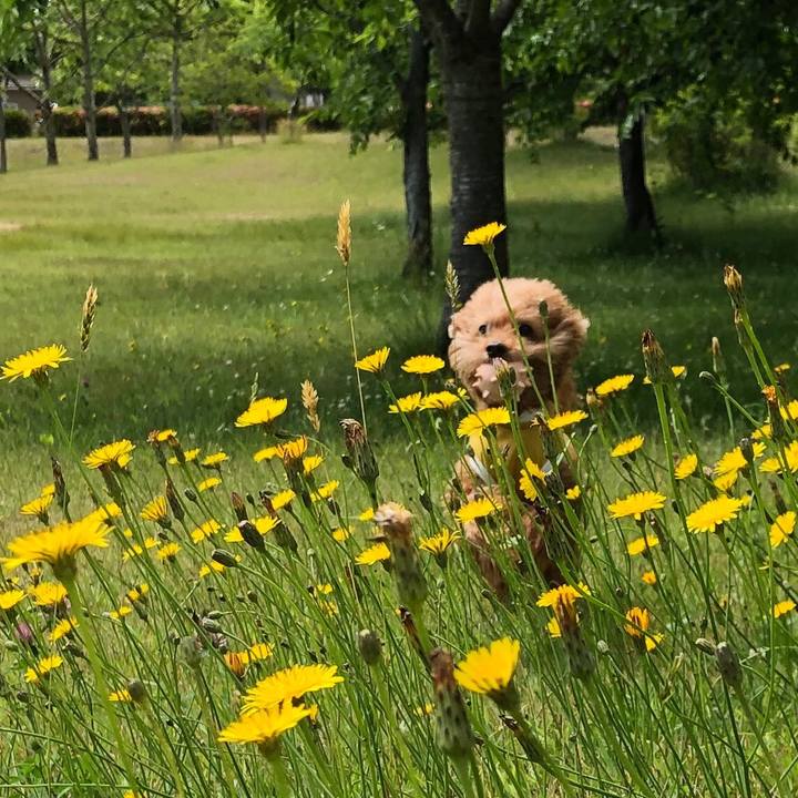 1f8abdc2 d26c 47e5 a325 ba60e7142ec4 1560305834674