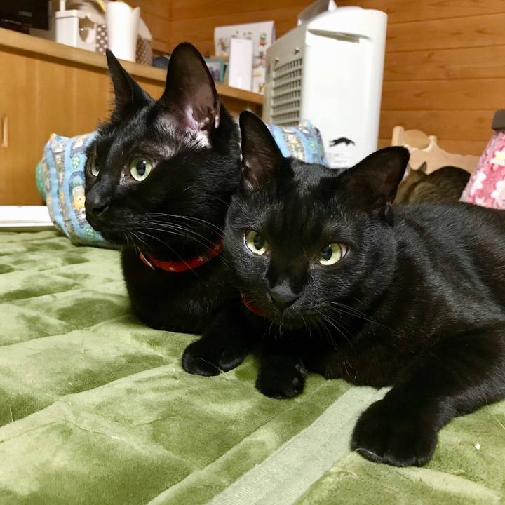 1f8abe66 2400 438a 94df ce232f5c7f02 1520170824412