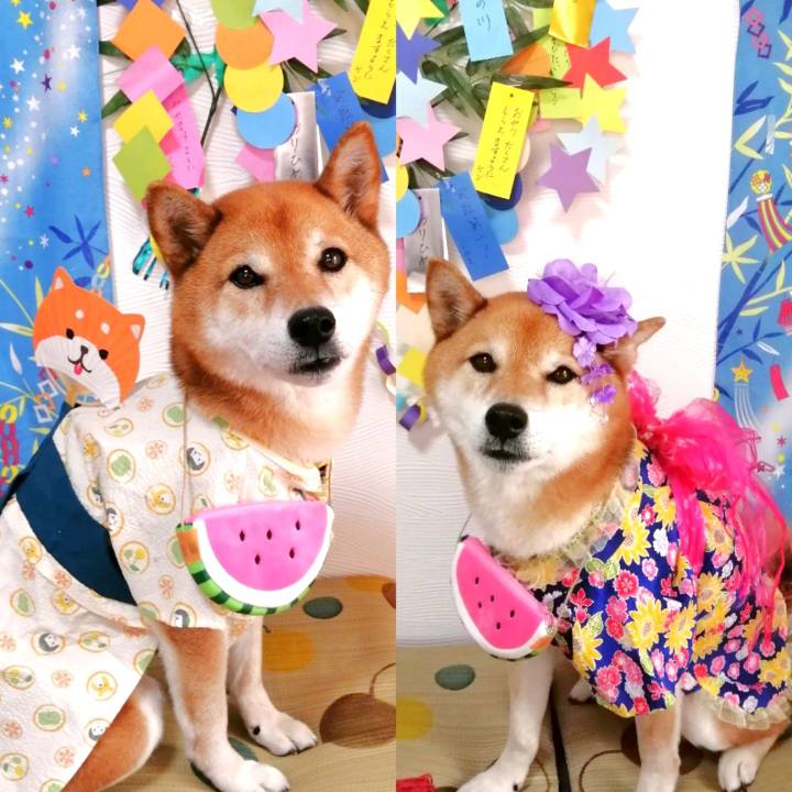 1f8af6ff df9b 4e75 9b53 e65d4c06852e 1657151467081