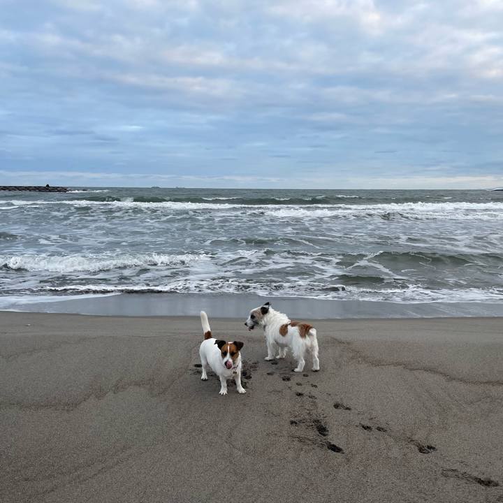 1f8b1cb9 7235 4edc 9dfa ca9a678da5e5 1702250599136