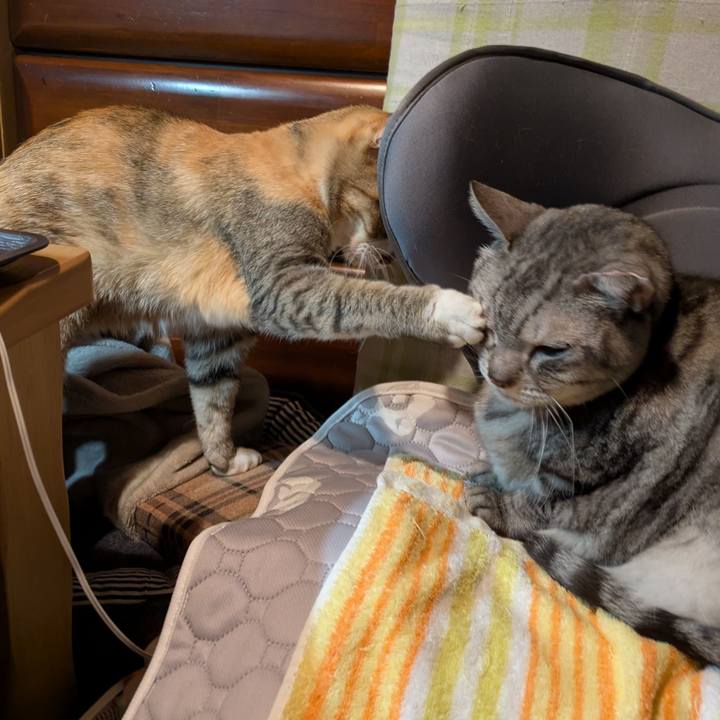 1f8b3564 b886 43d2 9c08 65da1adf6257 1761848728790