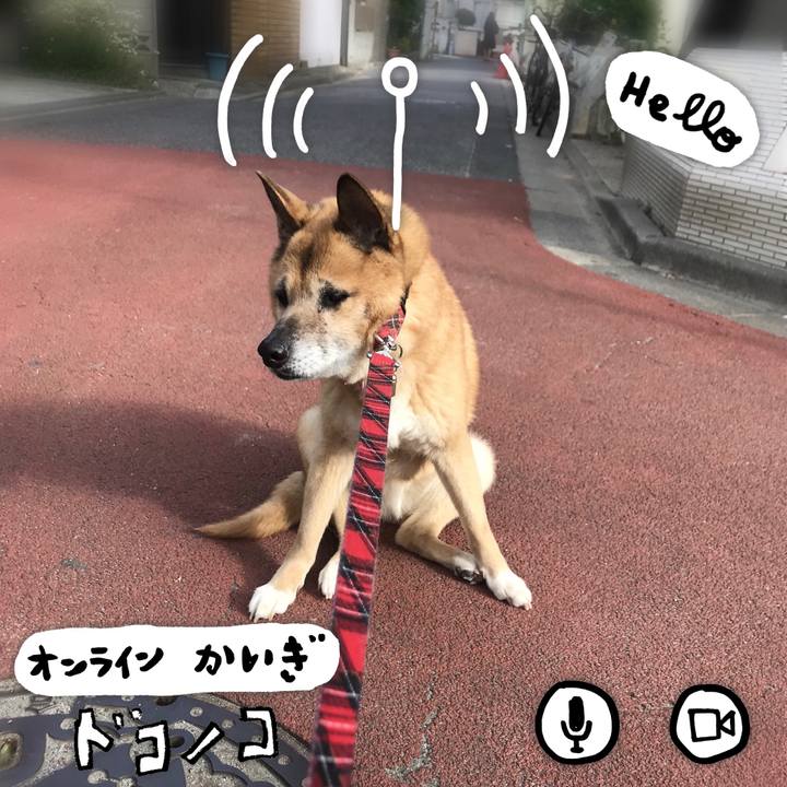 1f8b391a 2cb6 4292 81a7 2c7c0ac20617 1590699131748