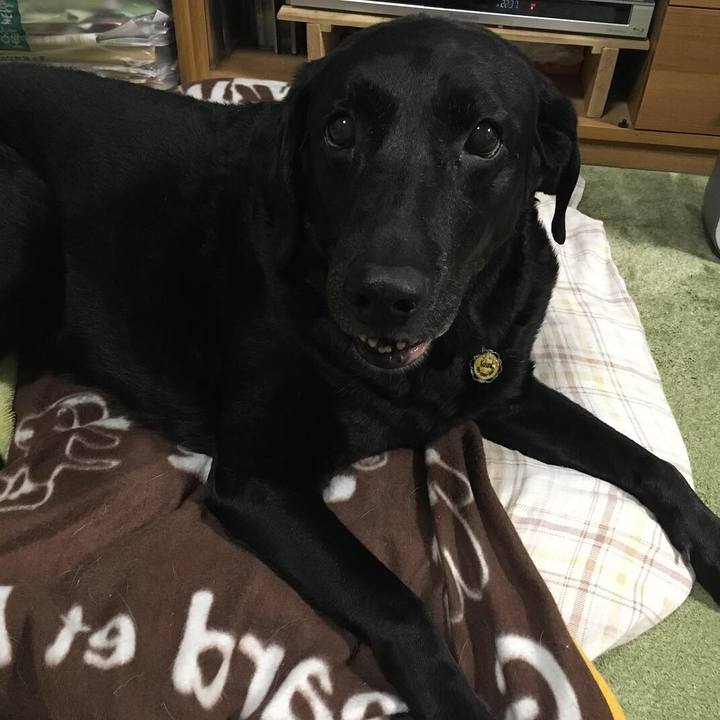 1f8b43ad 27ba 419f 905d 6b79418a9c2b 1541083811794