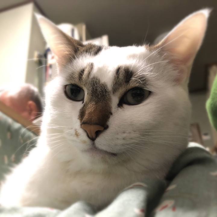 1f8b563b cc8f 41e4 9e66 4debd655f04e 1546343331138