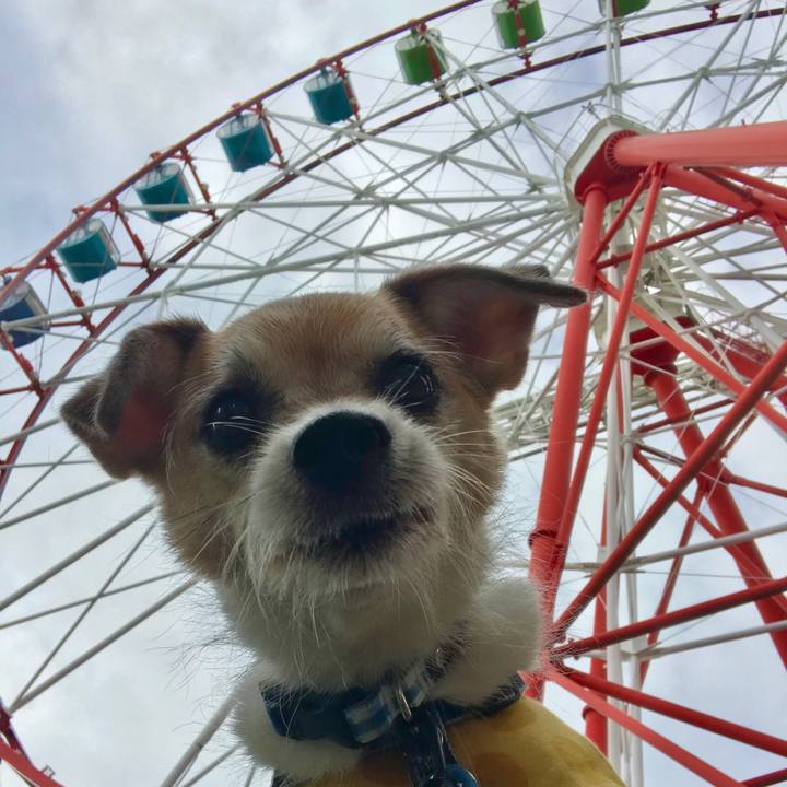 1f8b720e 9f80 4e14 9f49 17f8b79efdd3 1665222003926