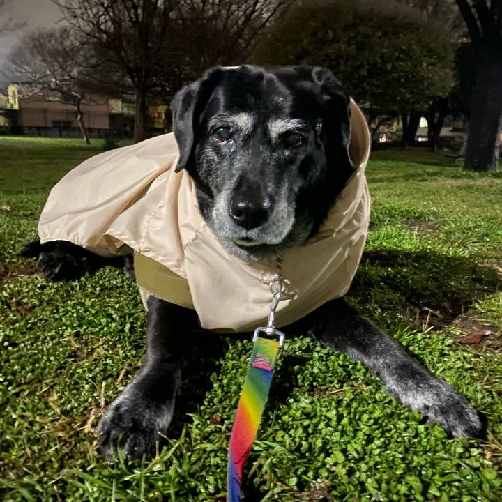 1f8ba3b4 ba24 40d5 a323 41a14d5a54b2 1710307941476