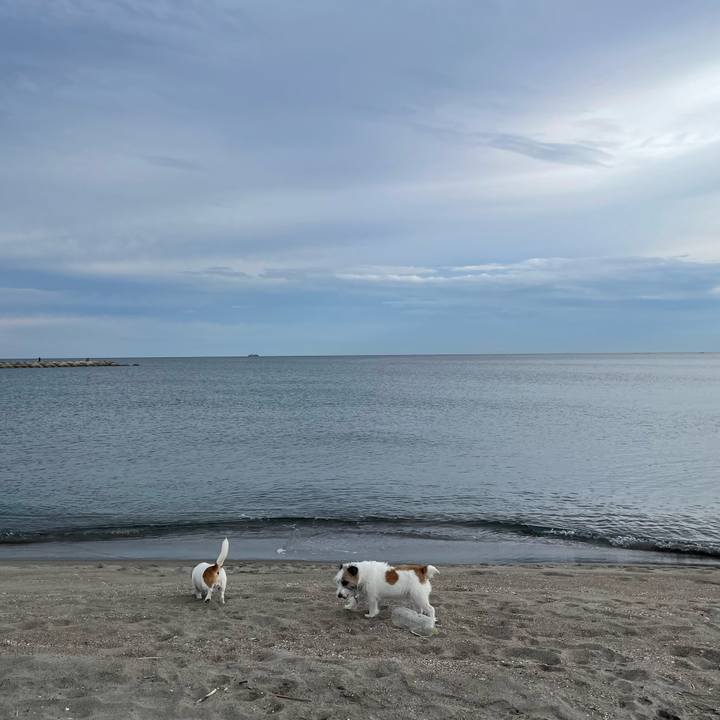 1f8bc93c 7a49 452e bbea a1978e3dd0f1 1695687576471