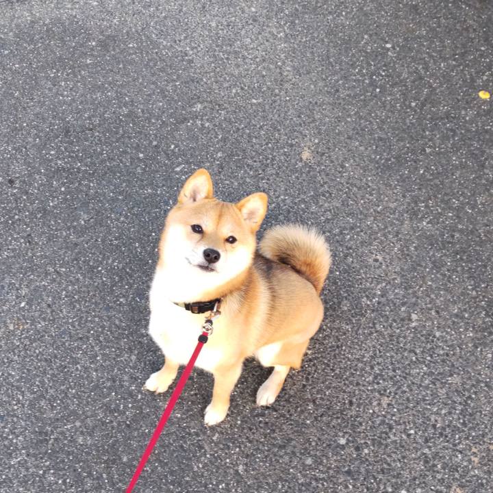 1f8be138 357e 4472 b2d8 9abd78db81f6 1650676499164