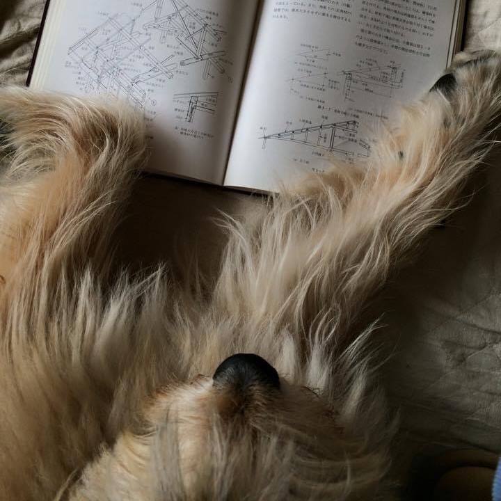 1f8c303c 3eb1 43b6 aa2f bfdc2b948a72 1611237135575