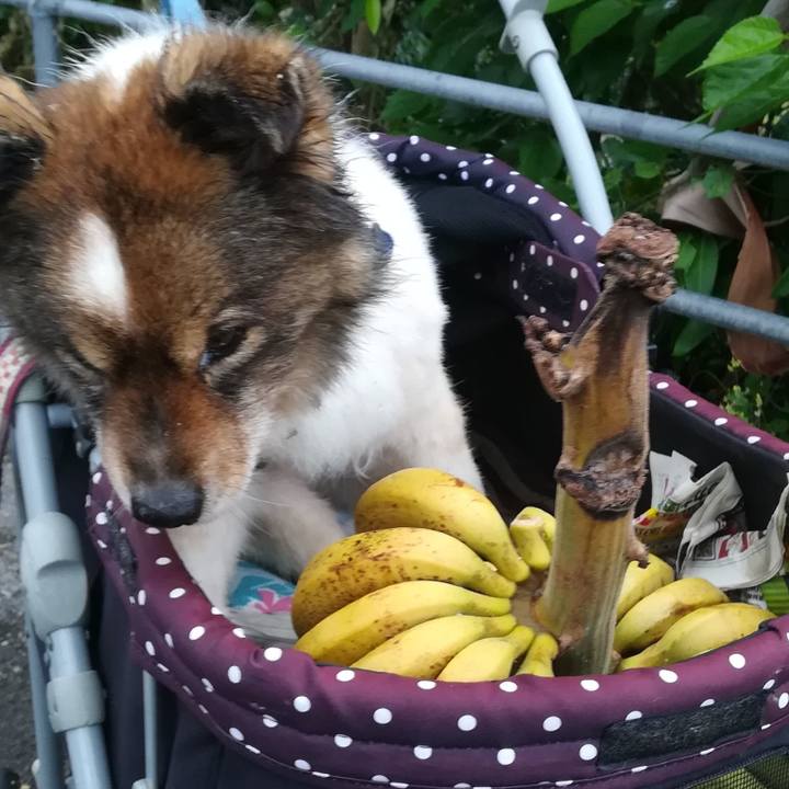 1f8c4718 8876 4a2d 88df 2e126984650c 1616305741212