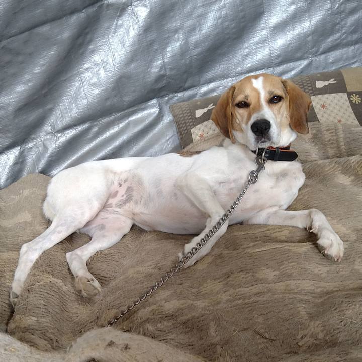 1f8c8767 f95c 4aa8 8ad5 4012e129aba1 1630825960820