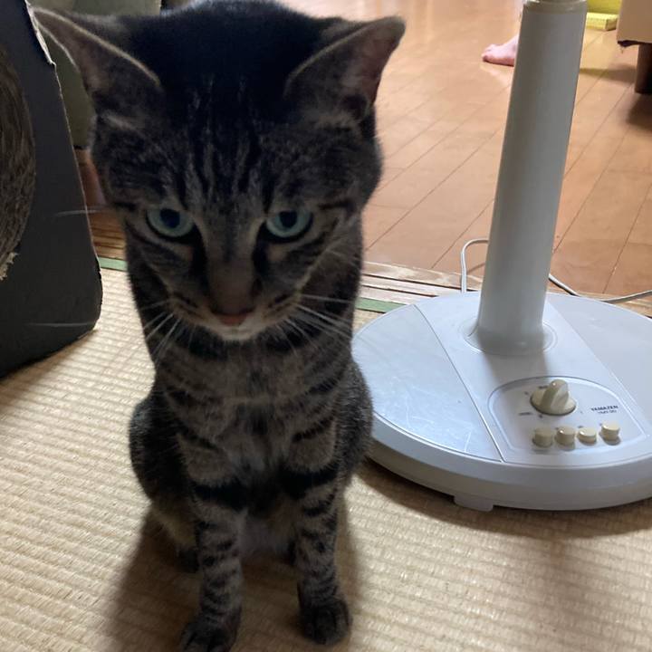 1f8c9674 3644 4e2e bfc1 d1c7f76f0214 1658754886847