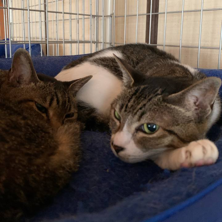 1f8caaed 01fa 41ca b4cf ef71ee7a3d63 1593393469715