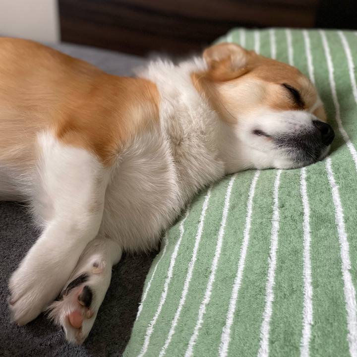 1f8cd386 7cde 4a97 9b44 0cb0697d38f6 1654565719155