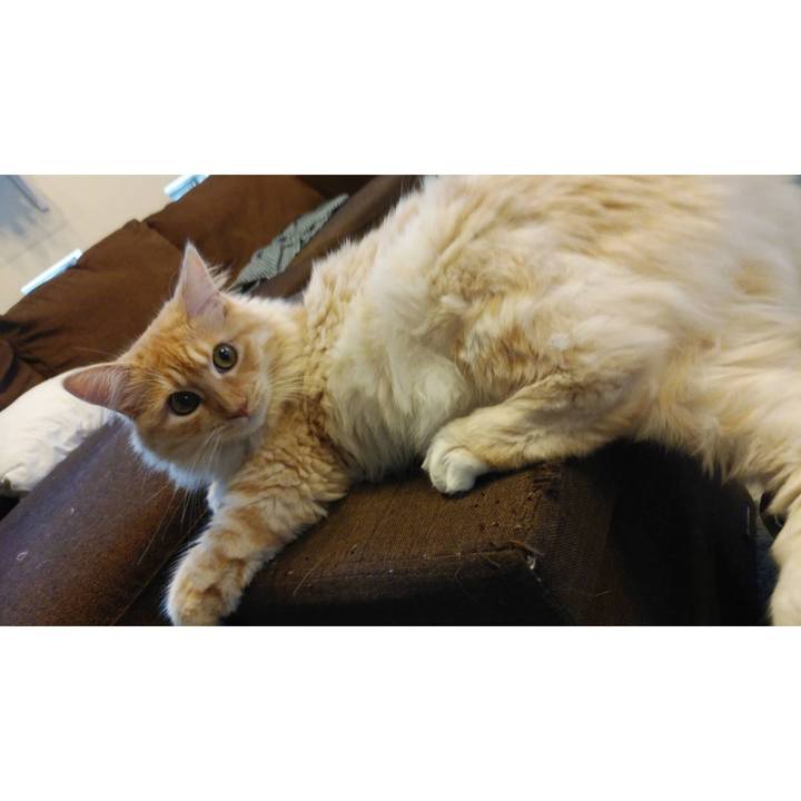 1f8cde43 7f2a 474f ac93 036e4cdaf750 1625571043483