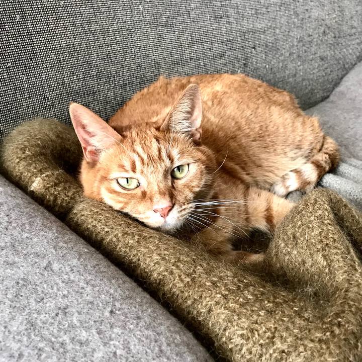 1f8cfe3f 6517 4f13 8a7d 02231cedfe96 1515653149216